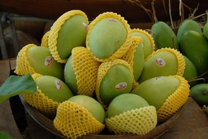First Vietnamese mango exported to the US