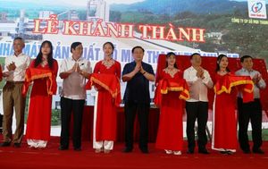 Major wood factory opens in Ha Tinh province