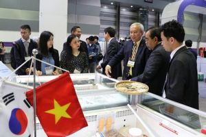 South Korean firms explore opportunities in VN