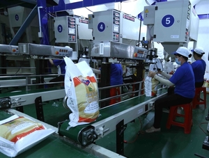 World Bank forecasts Viet Nam's 2019 growth at 6.6 per cent