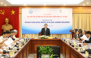 Viet Nam urged to tap IP potential for socio-economic development