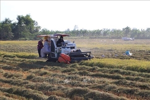 Viet Nam, China look to increase rice trade co-operation