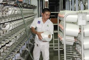 Dinh Vu polyester fibre plant opens two more lines