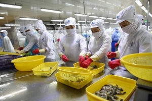 Mitsui & Co to invest in Vietnamese shrimp producer Minh Phu