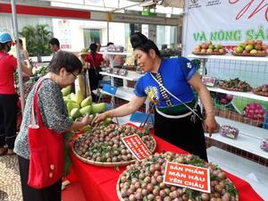 Son La Plum promotion week launched in Ha Noi