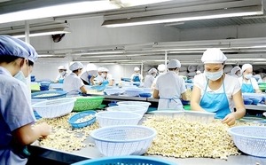 Viet Nam, Ivory Coast eye co-operation in agriculture