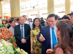 Ministries urged to help Bac Giang export more lychee fruit
