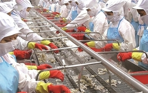 Mitsui raises Minh Phu Seafood stake to 35 per cent