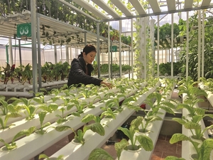 Central province approves hi-tech farming project