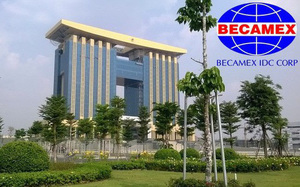 Becamex IDC to pay 6 per cent dividends