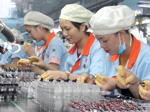 Dong Nai meets 2019 FDI target in just six months