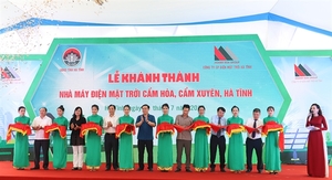 $63 million solar power plant opens in Ha Tinh