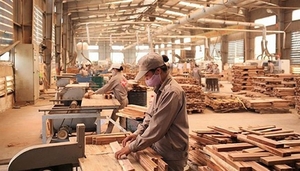 Wood and forest products exports exceed $6b