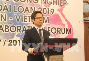 Viet Nam-Taiwan business relations remain short of potential: experts