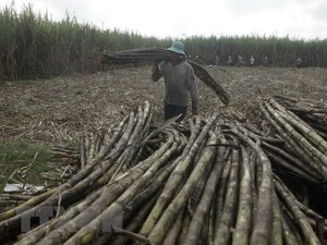Rising treat for sugar producers after ATIGA