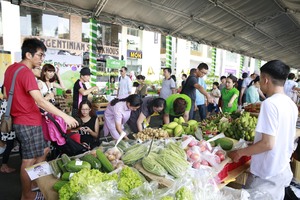 Phu My Hung City Centre set for annual Green Day
