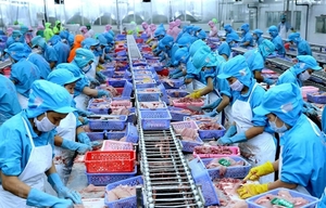 Seafood exports pick up but challenges continue