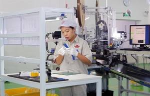 Japanese firm opens $5 million plant in Ha Nam