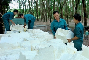 Dong Phu Rubber fulfils half of profit target