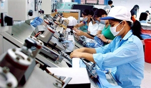 Viet Nam sees positive labour growth in 2019