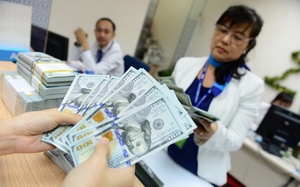 Vietnamese currency under bigger pressure in 2020