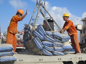 Viet Nam gains record in cement exports