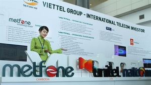 VN to set new regulations for overseas investment