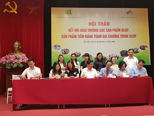 Ha Noi will promote linkage between production and consumption for OCOP products