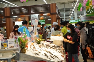 Dong Thap pangasius week opens in Ha Noi