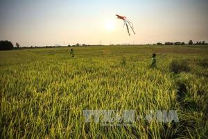 Water issues at the centre of Melong Delta planning