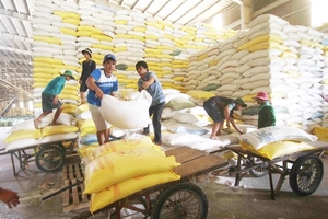 Viet Nam needs to promote brand building for rice exports