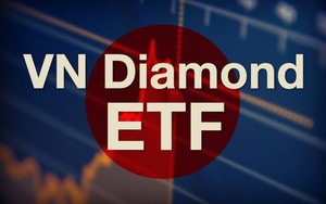 VFMVN Diamond ETF most attractive to foreign investors
