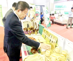 VN bamboo industry has huge growth potential