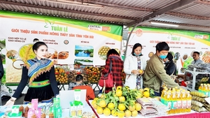 Yen Bai's agricultural and aquatic products introduced in Ha Noi
