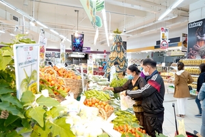 Project supporting farmers in Gia Lai launched