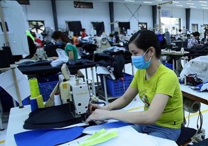 Viet Nam's garment-textile expects boom in 2020