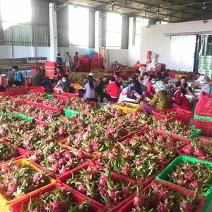 Tien Giang sets export target of $3.4 billion in 2020