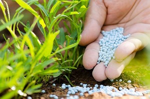 Safeguard measures on imported fertilisers extended until 2022