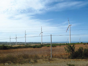Quang Binh pushes development of B&T wind farm cluster