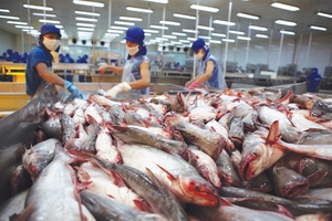 Seafood processor Hung Vuong cuts revenue forecast, returns focus to aquaculture