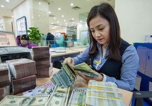 Foreign currency market eases following central bank’s intervention
