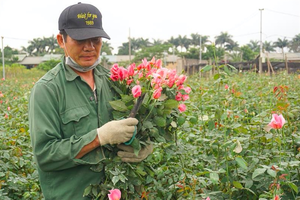 Covid-19 brings losses to flower growers