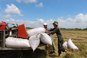 Kien Giang, Long An provinces want rice export ban lifted