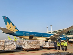 Vietnam Airlines boosts cargo transportation