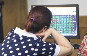 VN stocks up for 2nd day