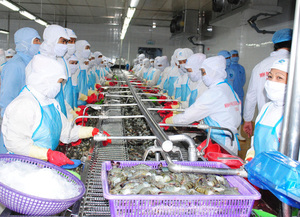 Shrimp exporters in Mekong Delta face challenges amid Covid-19 epidemic