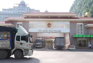 MARD requests businesses to temporarily stop transport of export farm produce to Lang Son