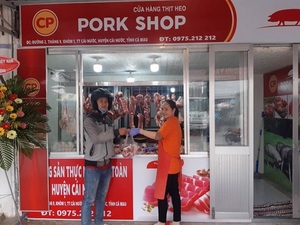 CP Viet Nam builds largest capacity pig slaughter plant in north
