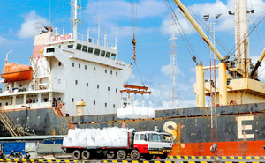 VNDirect buys three million shares of Dong Nai Port