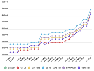 Viet Nam domestic pepper prices hit one-year high